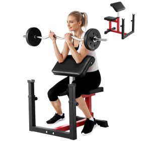 Weight Bench with Leg Extension, Strength Training Benches, Max load 440 LBS Home Gym Bench Fitness Equipment